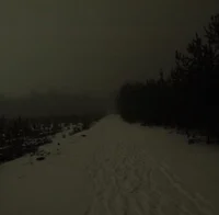 the eyes of a killer