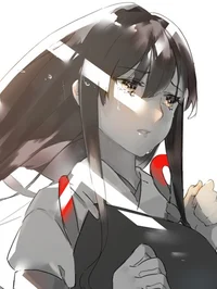 IJN Akagi 
