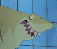 Shark