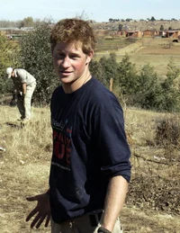 Young prince Henry