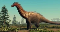 apatosaurus