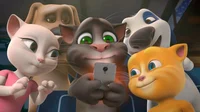 Tom and his friends 