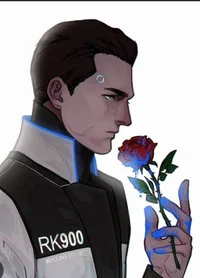 Rk900