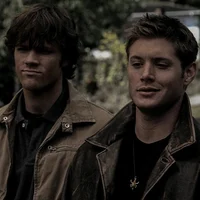 the winchesters