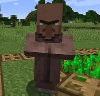 Angry Villager