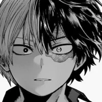 MHA-Todoroki Shoto