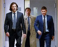 Team Free Will