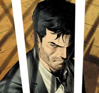 DC Bruce Wayne