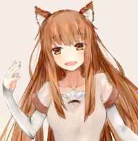 Holo the Wise Wolf