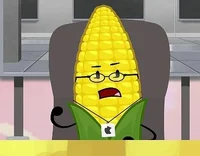 Steve Cobs