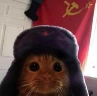 Soviet Union cat