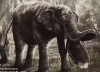 Prehistoria africa