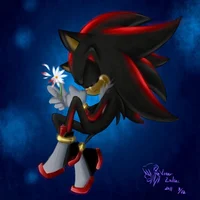 Shadow the hedgehog 