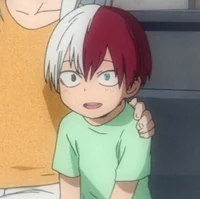Shoto Todoroki
