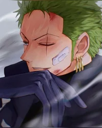 Zoro bodyguard