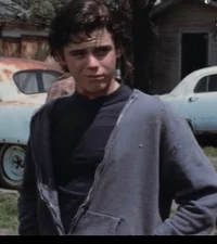 Ponyboy Curtis 