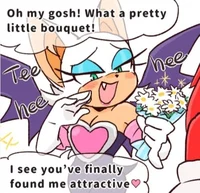 Rouge the bat