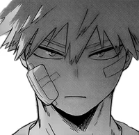 Bakugo katsuki 