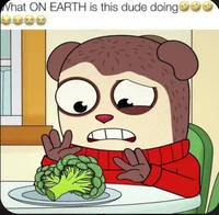 MaxdesignproZOOMCALL