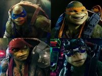 Bayverse tmnt