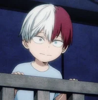 Shoto Todoroki