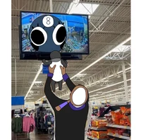 008 - RODGER TOODLES