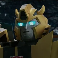 Bumblebee - TFE