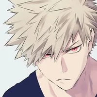 Bakugo Pro Hero