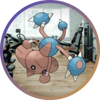 Hitmontop