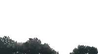 Or-Ro
