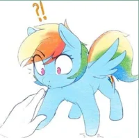Filly Dashie