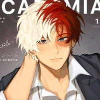 Shoto Todoroki 