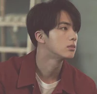 Seokjin