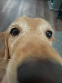 000 - Discord Server