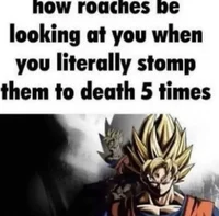 Dragon ball abridged