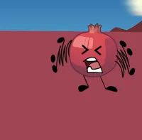 Pomegranate - GOEFAV