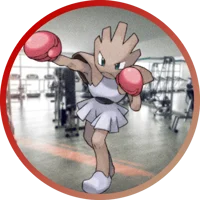 Hitmonchan