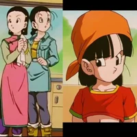 Chichi Videl et Pan