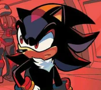 Shadow The Hedgehog