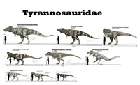 female tyrannosaurs