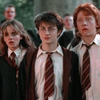 Harry Hermione Ron