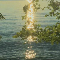 Roleplayer - warrior