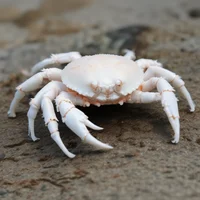 Crabchee