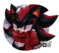 Shadow The Hedgehog