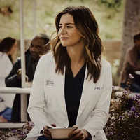 amelia shepherd