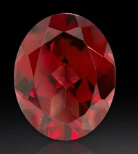 The Garnet Ruby