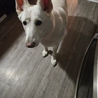 MD-sleepover edition