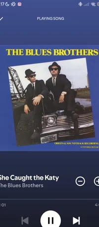 The Blues Brothers 
