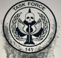Task Force 141
