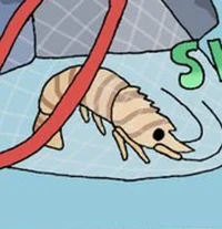 Pessimistic Shrimp